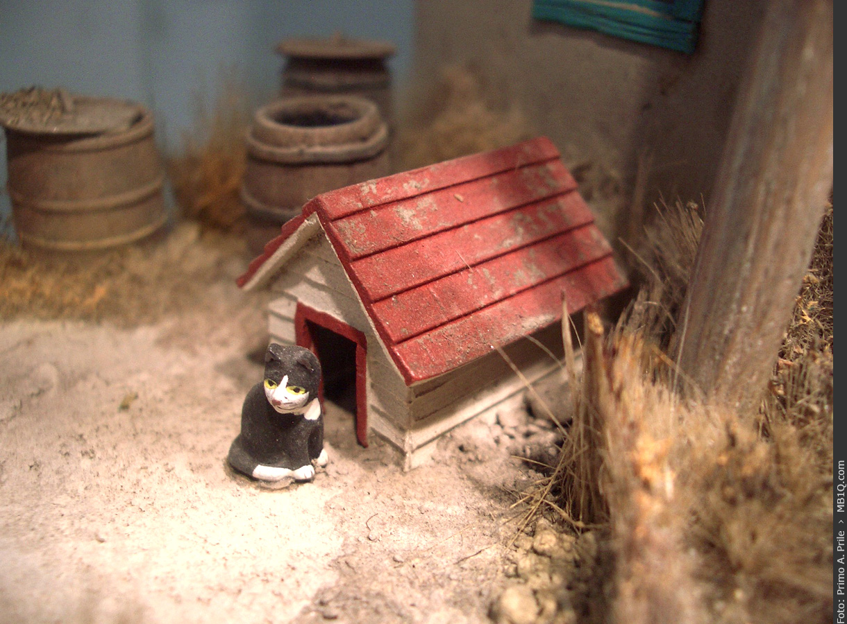 Grosse Katze vor Hundehütte