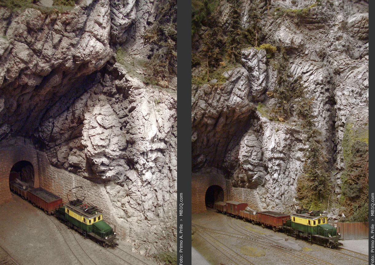 Ausfahrt eines Güterzugs der TGB aus einem Tunnel