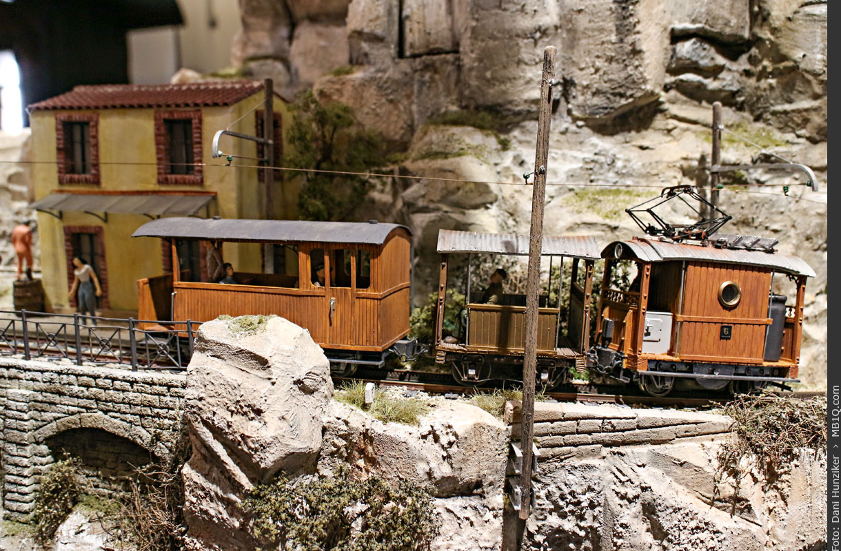 Schmalspuriger Zahnradbahnzug
