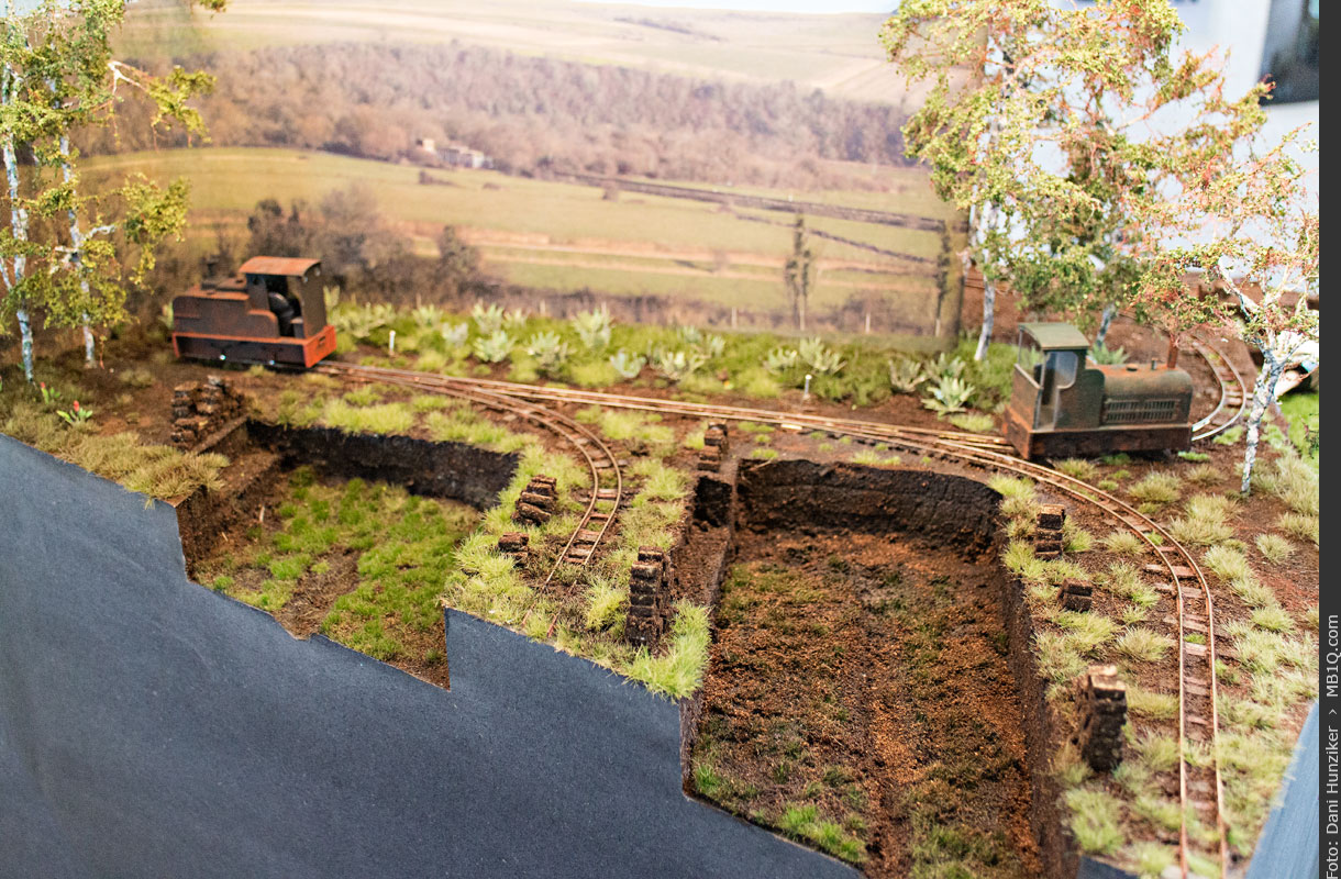 Chat Moss Peat