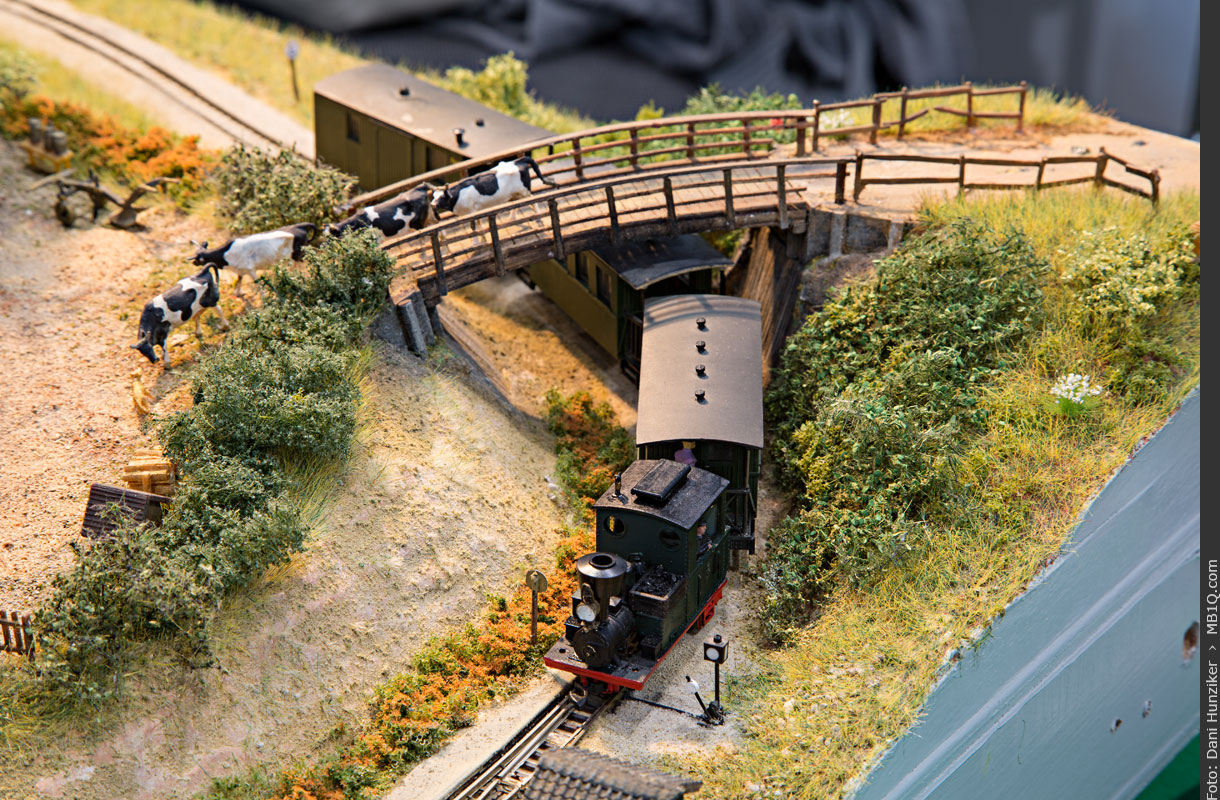 Dampfzüglein auf der Westpreussischen Kleinbahn