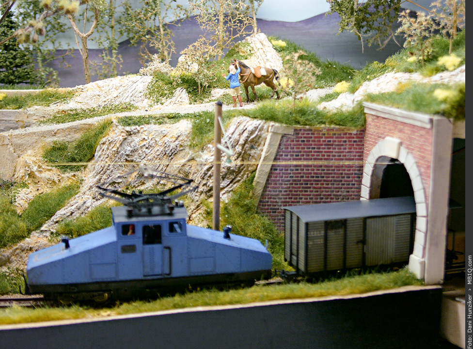 Schmalspuriger Lokalbahnzug