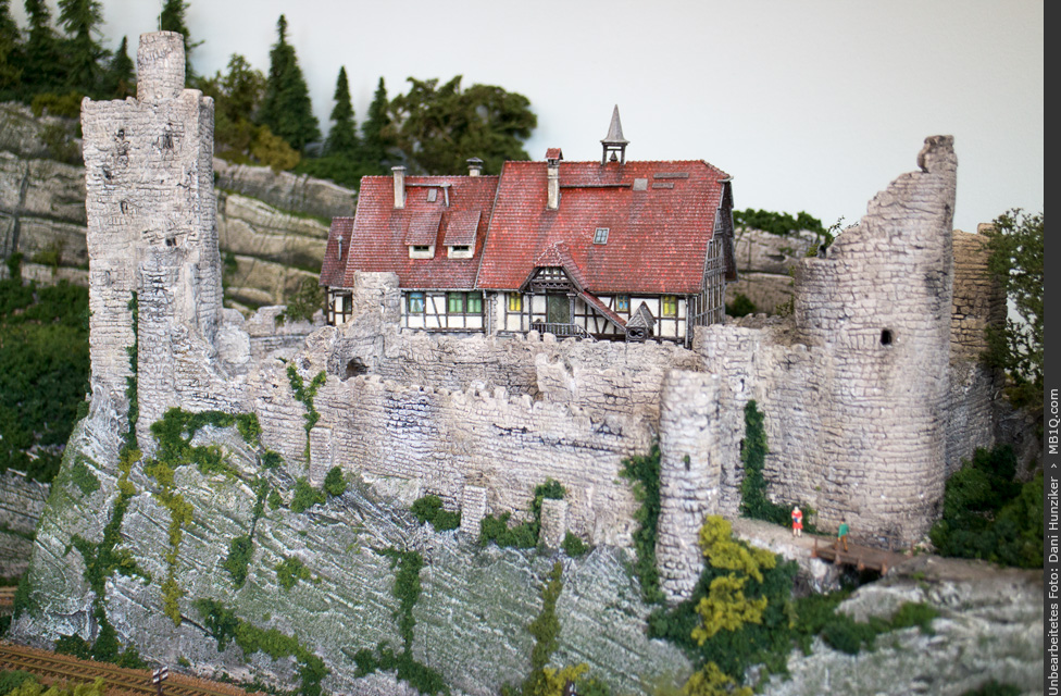 Burg Oberlöwenstein • N • MSC Maas en Waal