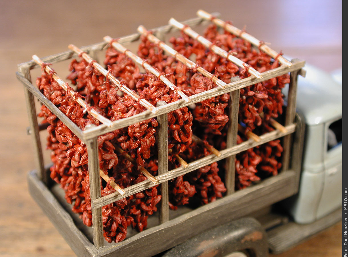 Lieferwagen, beladen mit Chili-Ristras