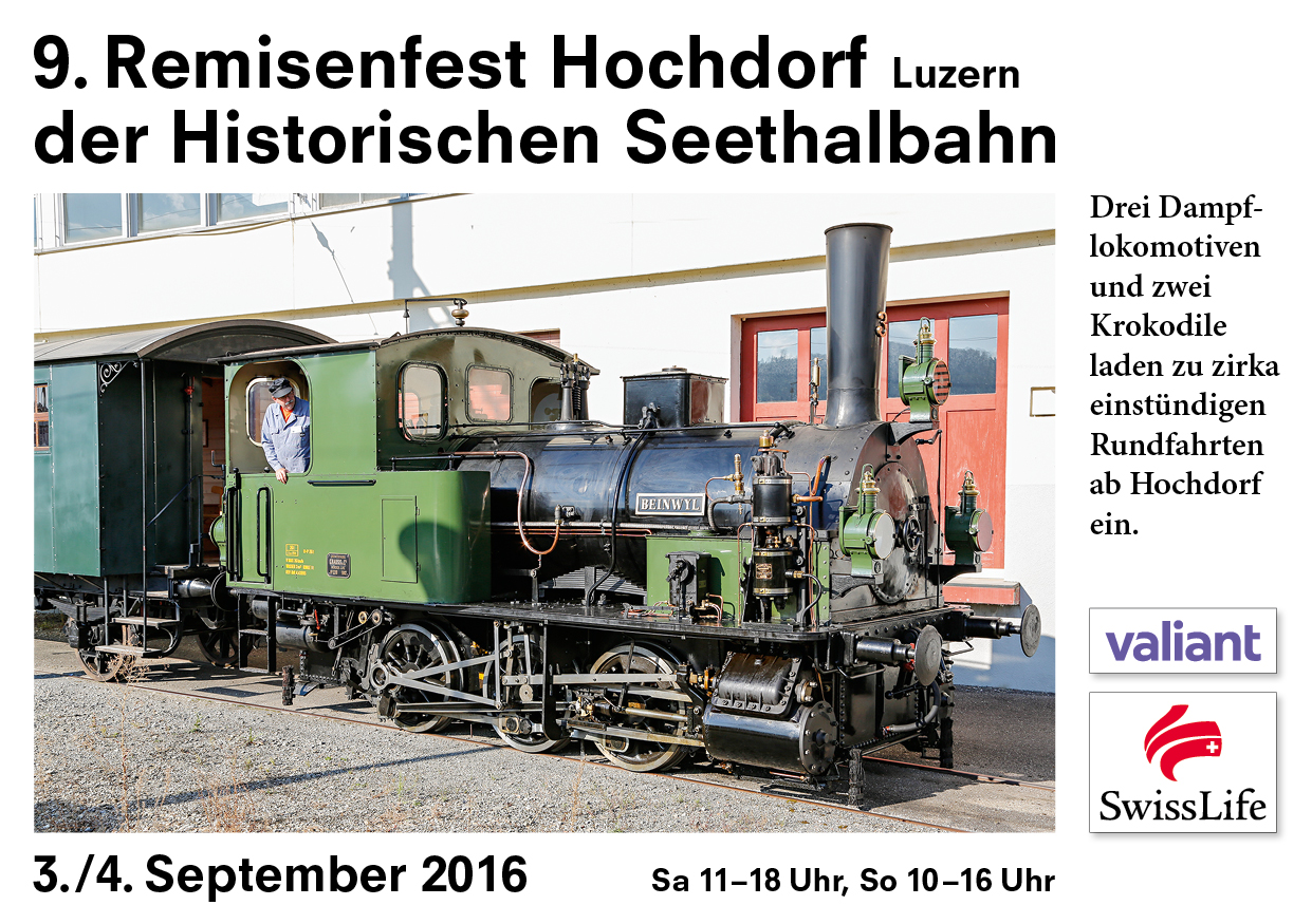 Ausblick auf das 9. Remisenfest in Hochdorf
